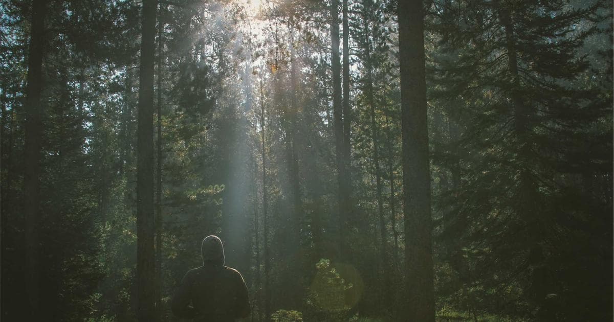 Direct Mail for DTC Brands: The Comeback Channel Nobody Expected