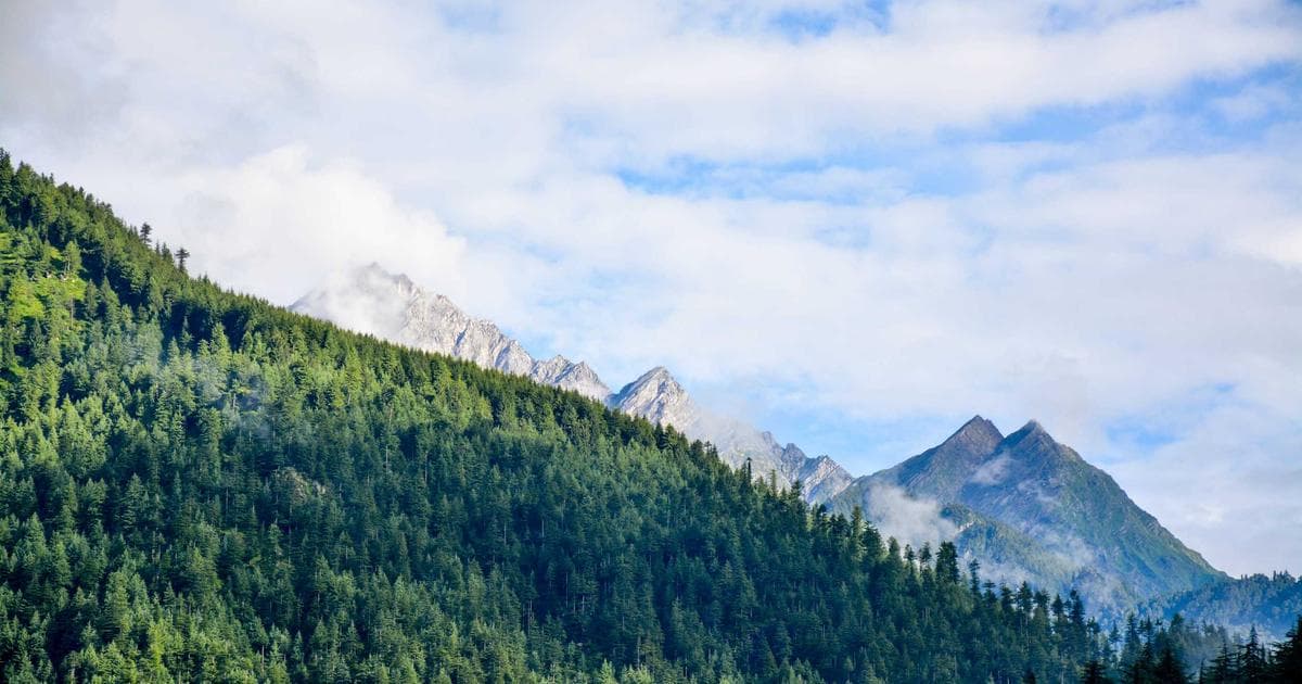 Google Ads Bidding Strategies: Which One is Right for Your Brand?