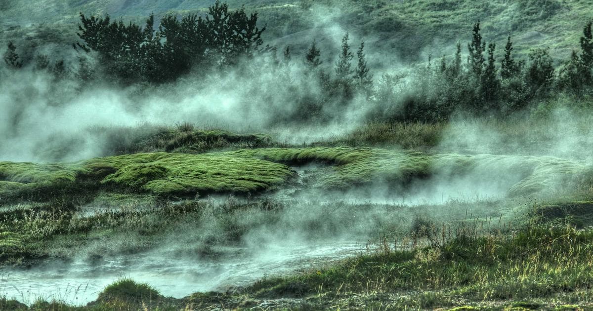 TikTok Spark Ads: How to Turn Organic Content into Paid Winners